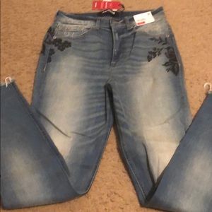 Express embroidered jeans